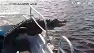 鱷魚卡欄杆回不了家　網笑：該減肥了