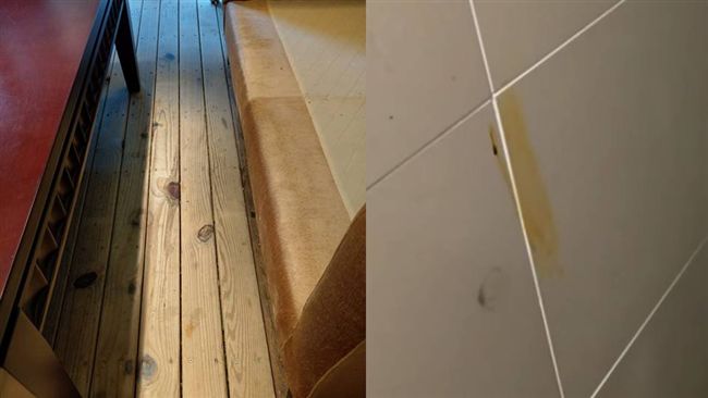 男拉屎抹牆　拒付清潔費：我X塑員工