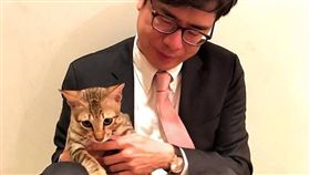 陳其邁的貓  陳小米（圖／翻攝自陳其邁 Chen Chi-Mai臉書粉絲專頁）