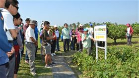 高雄區農改場有機試驗友善栽培觀摩會高雄區農業改良場11日在旗南分場試驗田區，舉辦「有機試驗田區蔬菜及豆類友善栽培觀摩會」分享有機耕作推動情形，吸引不少民眾參與。（高雄區農改場提供）中央社記者郭芷瑄傳真　107年12月12日