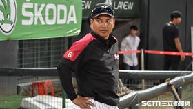  ▲羅德監督井口資仁。（資料圖／記者王怡翔攝影）