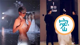 楊麗萍（圖／微博）