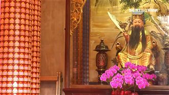 龍山寺藥師燈大改版　加碼近6萬盞