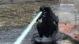 超霸氣！燒焦烤雞一秒變身「哥吉拉」