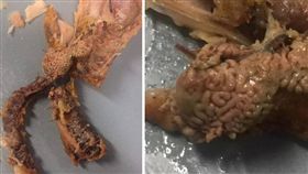 澳洲雪梨一名26歲女子帕默（Sarah Palmer），日前點了一份肯德基（KFC）的炸雞分享餐外送，沒想到她嗑到一半時，突然發現雞皮下有一塊疑似「雞腦」的肉塊，她嚇得食慾全消，立刻到肯德基臉書反應。對此，肯德基客服趕緊滅火，澄清「那應該是雞腎，不是雞腦！」（圖／翻攝自太陽報）