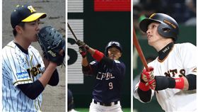 ▲火腿、巨人、阪神日職賽事，明年台灣球迷看得到。（圖／翻攝自推特）