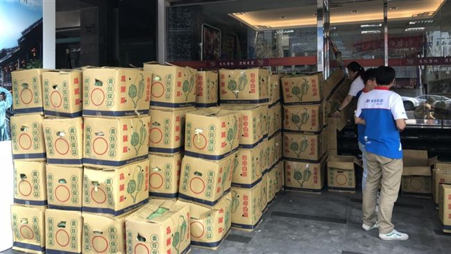 東南旅遊社幫助小農　高麗菜免費送