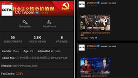 中國中央電視（CCTV）入主國外成人網站「Porn hub」！有鄉民今（13）日在PTT發文表示，他看朋友的臉書發現，中國央視在Porn hub開帳號，且還有上傳有關海峽兩岸、新聞聯播的影片。不少網友看到後，紛紛搞笑地說「中國人都看央視自慰啊！」（圖／翻攝自PTT）