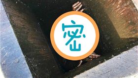 美國,男子行竊卡餐廳通風口（圖／翻攝自推特）