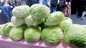 木柵忠順廟團購助高麗菜農新北市政府與新北果菜公司5日表示，木柵忠順廟響應高麗菜團購活動盼幫助農民，已訂購200箱，也呼籲社會發揮愛心搶救菜農。（新北果菜公司提供）中央社記者黃旭昇新北市傳真　107年12月5日