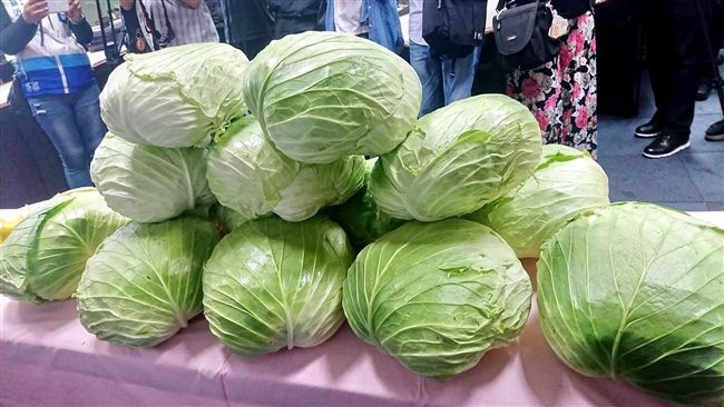 慈善團體啟用冷藏庫　分享食材助弱勢