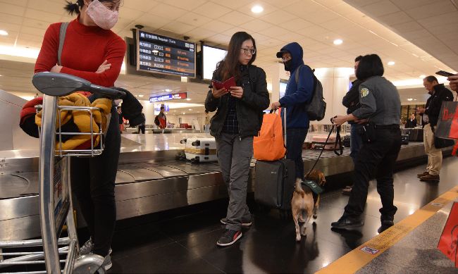 雙管齊下！機場靠X光與檢疫犬檢驗