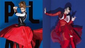 蔡依林,王菊(圖/臉書)