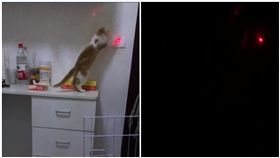 讓貓咪幫忙關燈／爆廢公社公開版