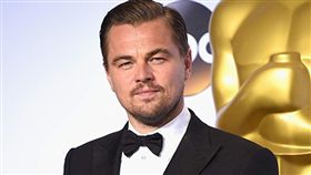 李奧納多。(IMDB)