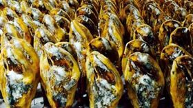 因版權問題，名家圖請勿使用，謝謝。