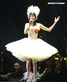 張韶涵「旅程｣小巨蛋演唱會。（記者邱榮吉/攝影）
