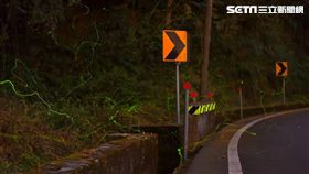 阿里山,螢火蟲,復育,冬螢,／公路總局提供