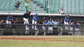 ▲中華職棒聯隊闖進冬季聯盟冠軍賽。（圖／中華職棒提供）