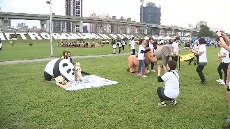 戽斗路跑登場！民眾穿發熱衣抗低溫