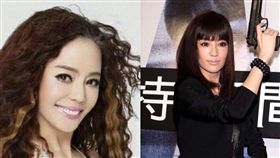 狄鶯與關穎神似