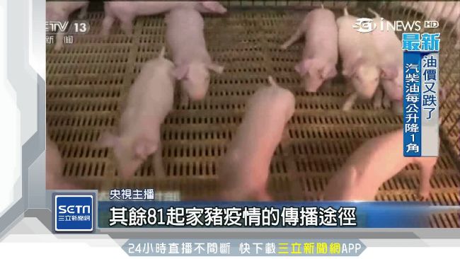 豬瘟害滷肉飯消失？網友：豬豬真可憐