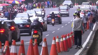 落羽松秘境變菜市場...違規載客多