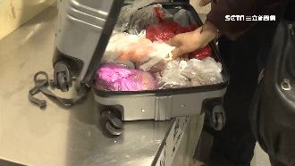 不知「豬瘟」嚴重性　陸配遭罰5萬