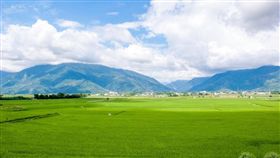 花東海灣盃自行車挑戰  開放報名（3）花東縱谷沿途風光明媚，是台灣最美、空氣最好、兼具山海景觀的自行車路線。花東縱谷國家風景區管理處將於11月9至11日舉辦「2018花東海灣盃自行車挑戰活動」，即日起開始報名至10月5日。（縱管處提供）中央社記者盧太城台東傳真  107年8月14日