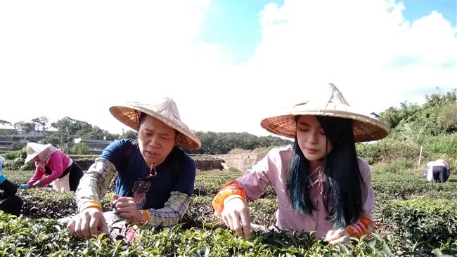 茶業界的米其林　為什麼比飲料店便宜
