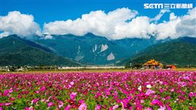 經典小鎮,票選,結果,觀光局,台東縣,池上鄉,／觀光局提供