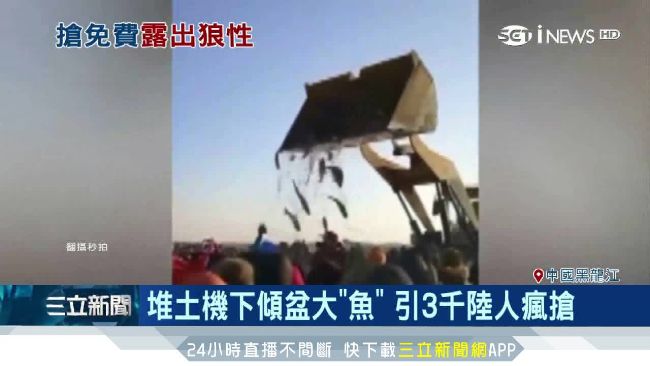 堆土機撒2.5公噸魚　3千陸人瘋搶