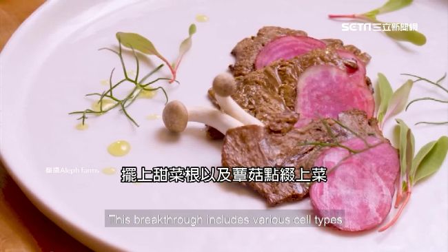 全球首創！實驗室三星期養出「牛排」