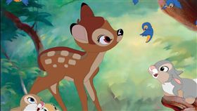 影／惡棍盜獵上百野鹿　法官判他看12次《小鹿斑比》
圖／翻攝自Twitter