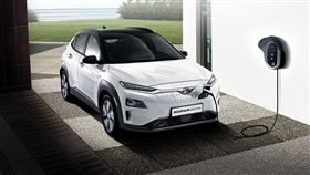 Kona Electric。（圖／翻攝網站）