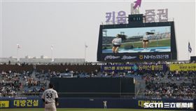 ▲NC恐龍主場在昌原馬山。（圖／記者蕭保祥攝）