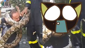 蟒蛇,脫逃,纏繞,泰國,窒息,勒死,消防員,爆青筋　圖／翻攝自YouTube