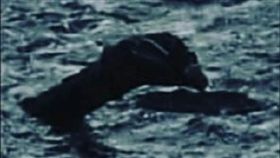 生物,尼斯湖水怪,英國,導遊
推特