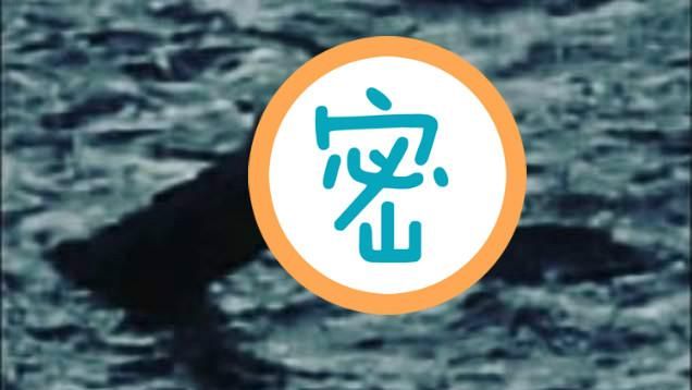 尼斯湖水怪真面目？鳥嘴＋凸眼照曝光