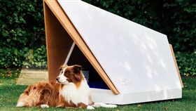 Quiet Kennel降噪狗屋。（圖／翻攝網站）