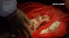 非洲豬瘟,中國漁船,防疫,海巡隊