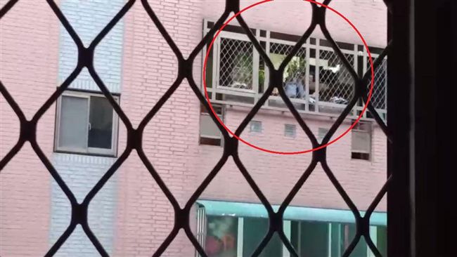 注意音量！惡鄰居趴窗台嘶吼「寶貝」