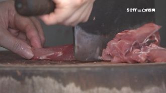 非洲豬瘟無疫苗 冷凍肉病毒可存活1000天