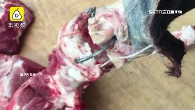 L陸豬瘟失.控2400