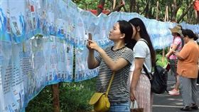 （圖／翻攝自微博）中國,恨嫁,潛力股,高學歷,相親角