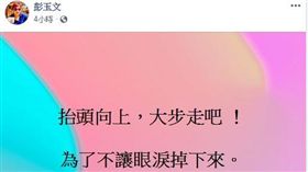 法拉利遭撞名醫　彭玉文