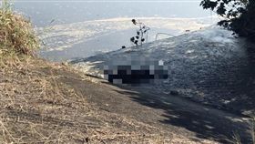 新北市,新莊,沙洲,浮屍,翻攝畫面