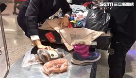 豬瘟,大媽,桃園機場,桃園,翻攝畫面