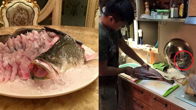男切魚肉被鬼跟…鍋蓋現女臉魚身瞪他