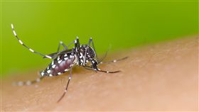 柬埔寨境外移入登革熱暴增7倍疾管署副署長莊人祥21日表示，107年自柬埔寨境外移入登革熱病例比去年明顯增加，從8例暴增到66例，增7倍之多，是境外移入登革熱最多國家。（疾病管制署提供）中央社記者陳偉婷傳真  107年12月21日